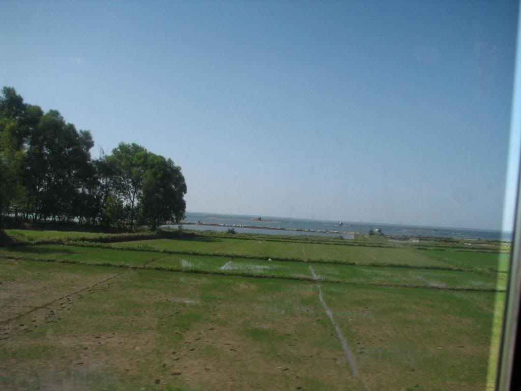 IMG_0083_zps0972eeda.jpg
