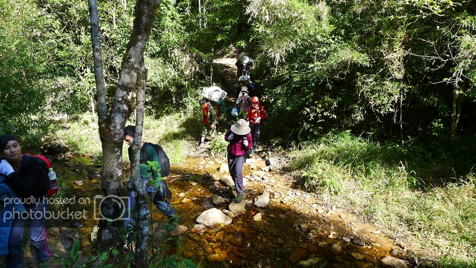 P1140728.jpg