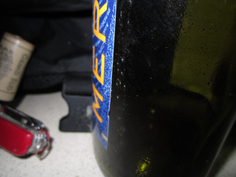 IMG_1559_zps34f92046.jpg
