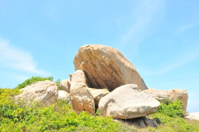 DSC_1824.jpg