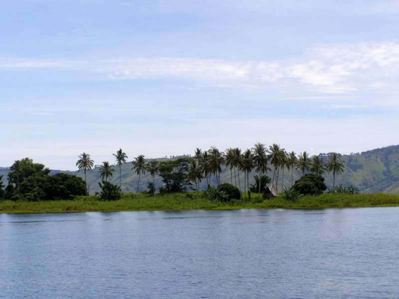 P7220151.jpg