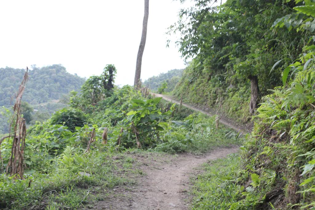 IMG_7704.jpg
