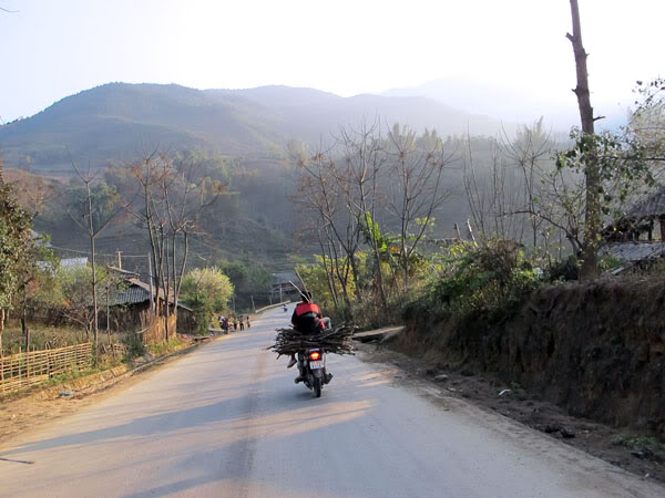 HongNgai2011055.jpg