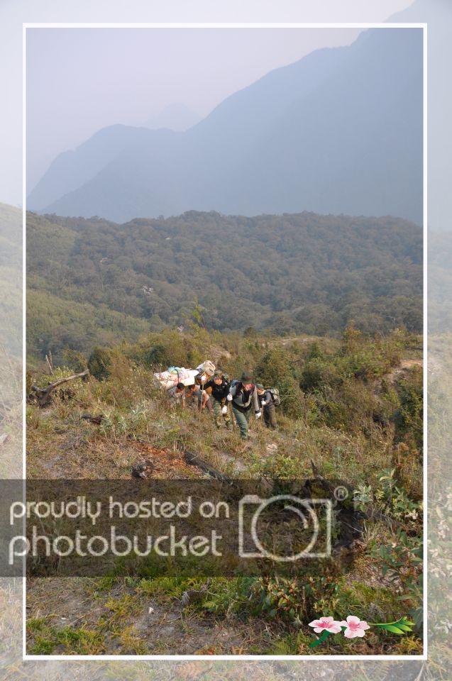 DSC_7375_zps523fedad.jpg
