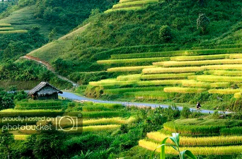 HaGiang2009b.jpg