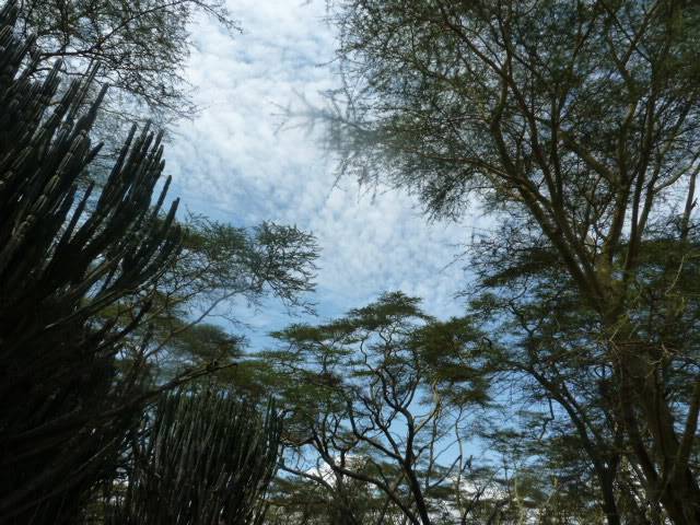 L1010770.jpg