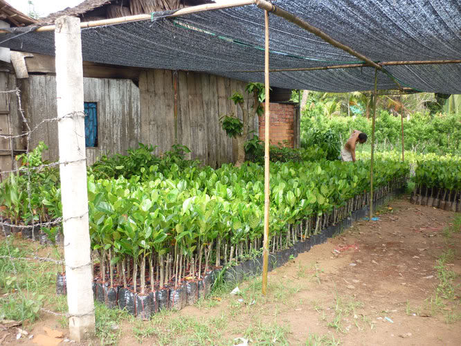 P1330985.jpg