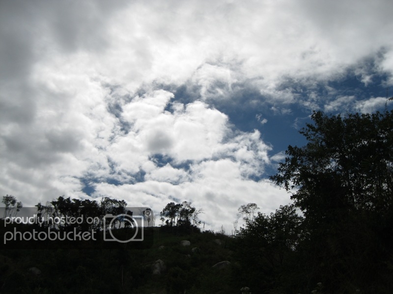 IMG_9281_zps1631c7db.jpg