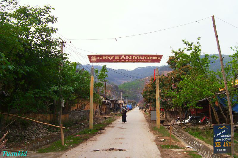 SDC16195.jpg