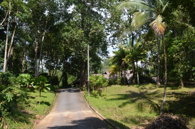 DSC_2585.jpg
