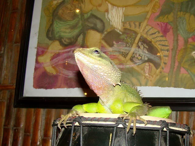 DSC03513.jpg