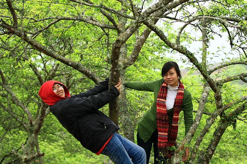 NATrang2.jpg