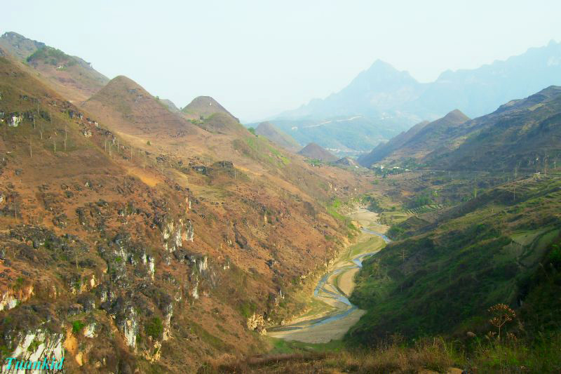SDC16187.jpg