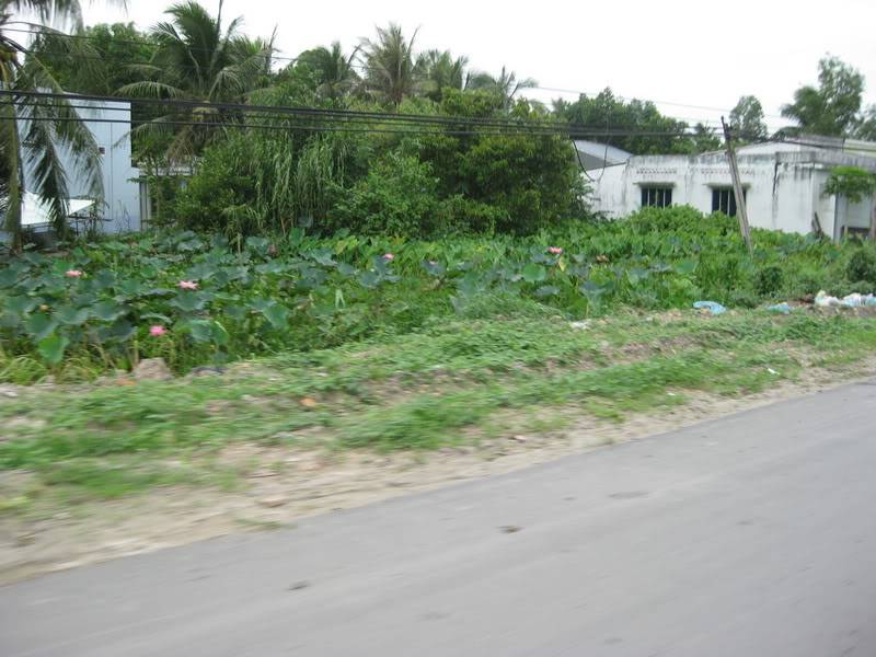 IMG_0644_resize.jpg