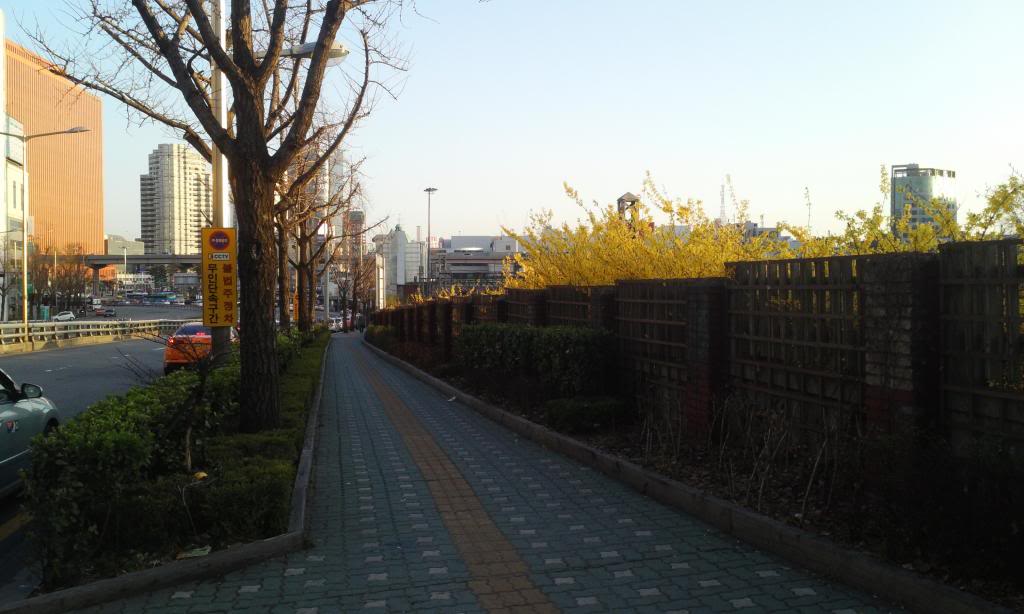 IMG_20130407_182351.jpg