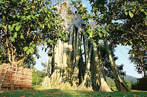 1351639402-du-lich-tuyen-quang--2-.jpg