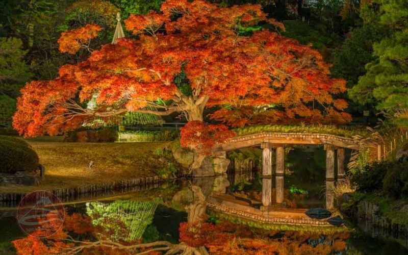 Vườn Rikugien khu vườn phong cảnh Nhật Bản cổ kính nhất tại Tokyo