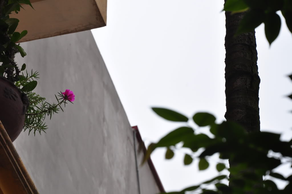 DSC_0111.jpg