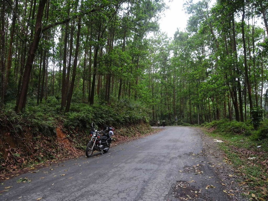 DSC_8925_zps9c29b5ff.jpg