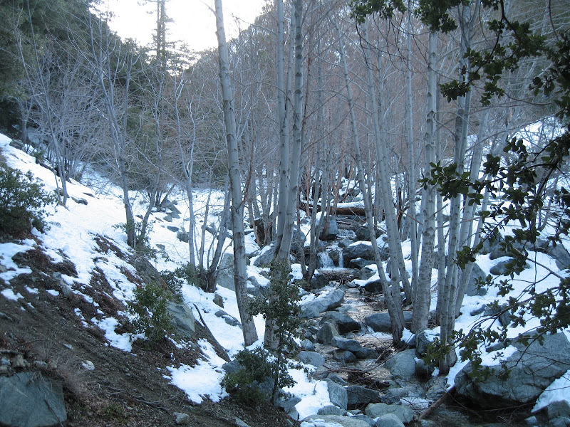 IMG_4895.JPG