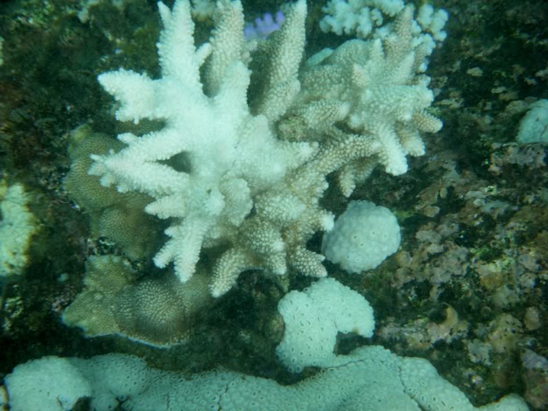 DSCF0133.jpg