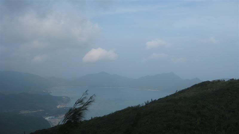 IMG_5640Medium.jpg