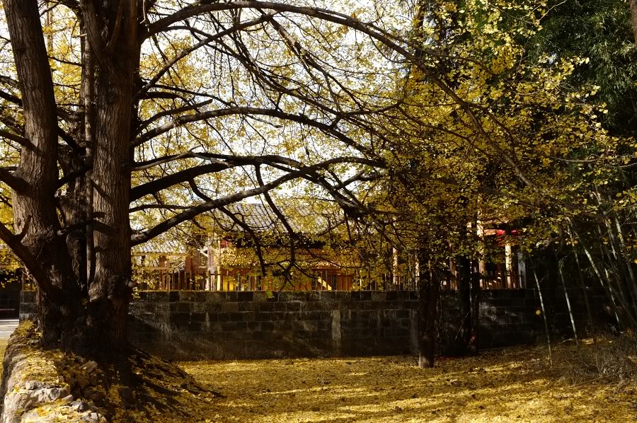 DSCF1870.jpg
