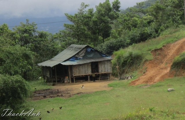 IMG_7970.jpg