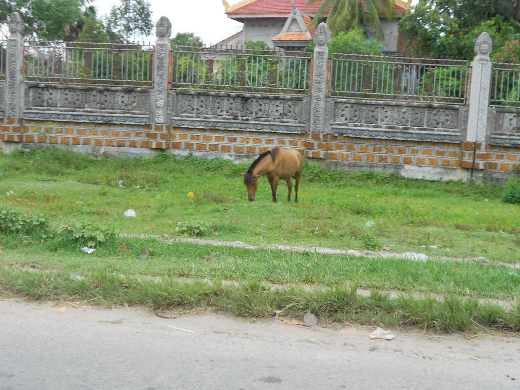DSCN0155.jpg
