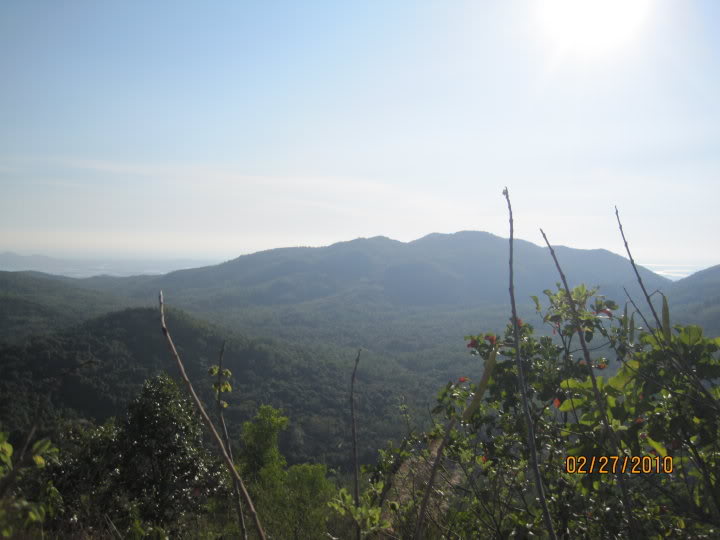 DSC11-1.jpg