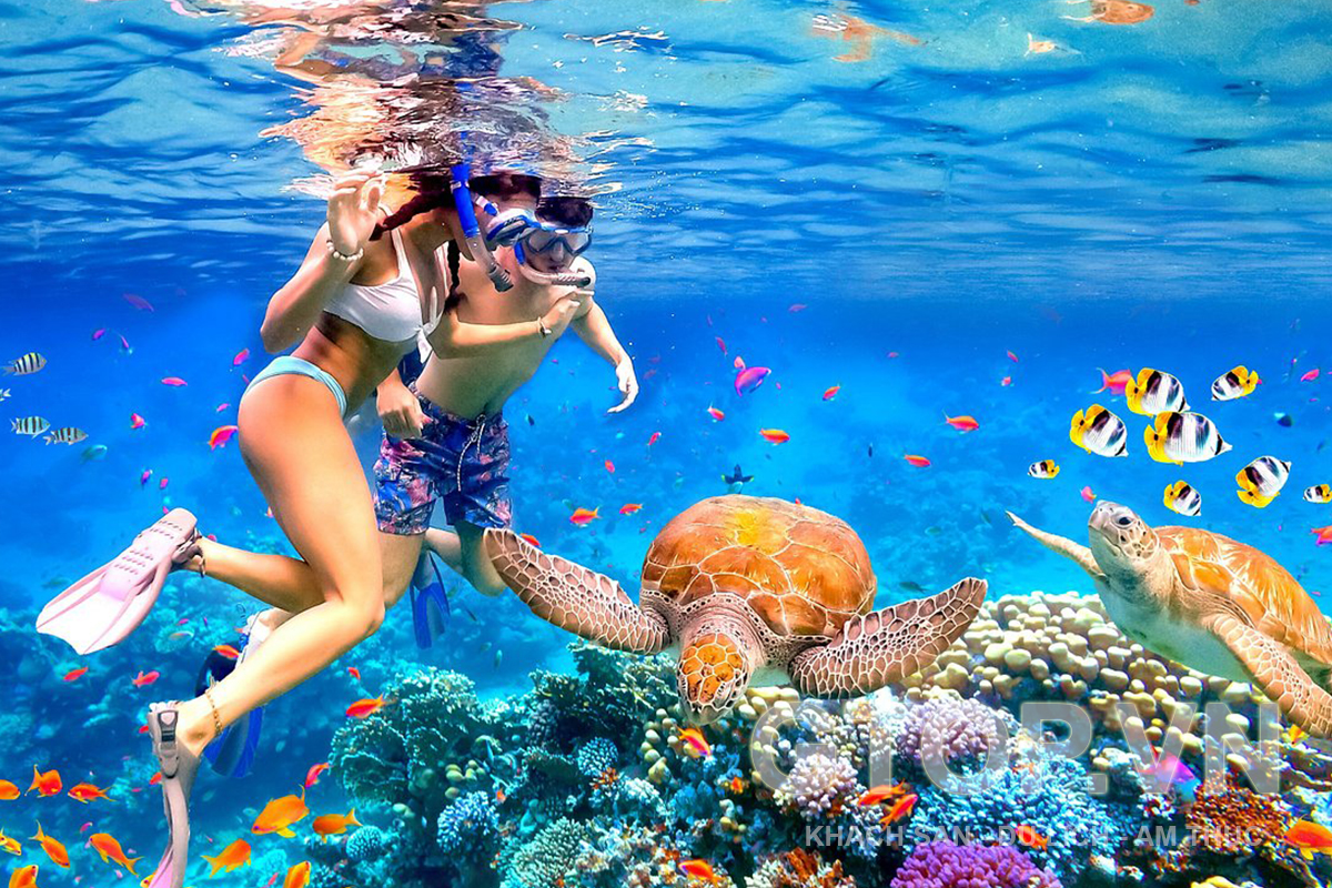 snorkeling-1.jpg