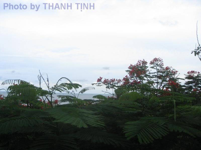 BC_LH081.jpg