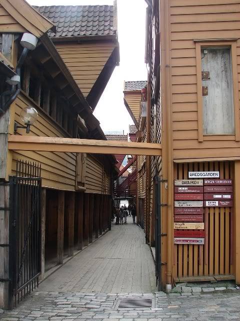 DSC00366.jpg