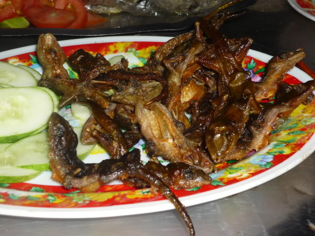 P1000758.jpg