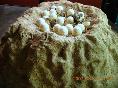 DSCN3708.JPG