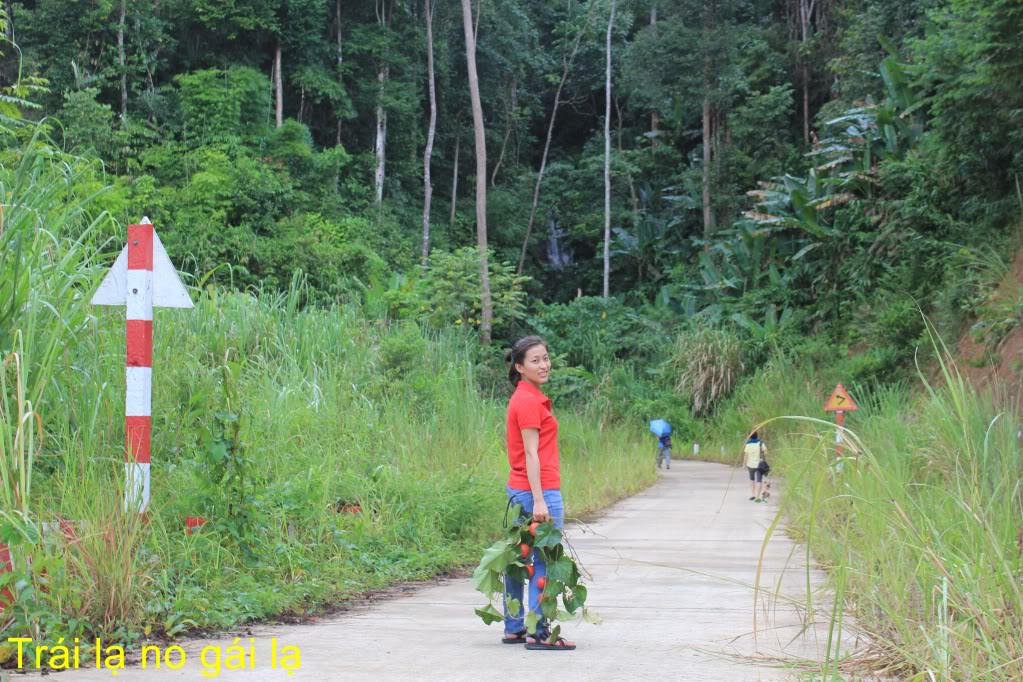 IMG_0027_GF_zps449f75df.jpg