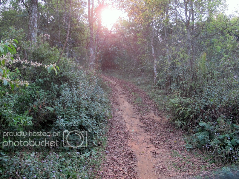 IMG_1157_zpscc66f28a.jpg