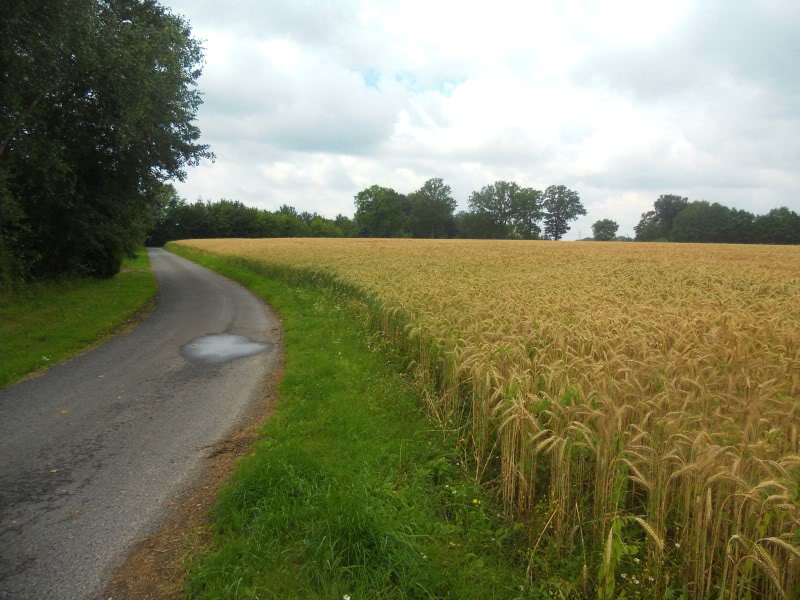 DSCN8753.jpg