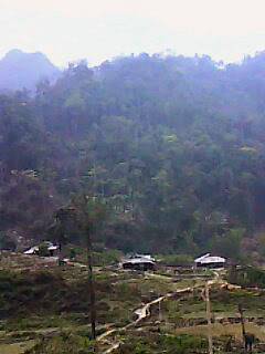 IMG0092A.jpg