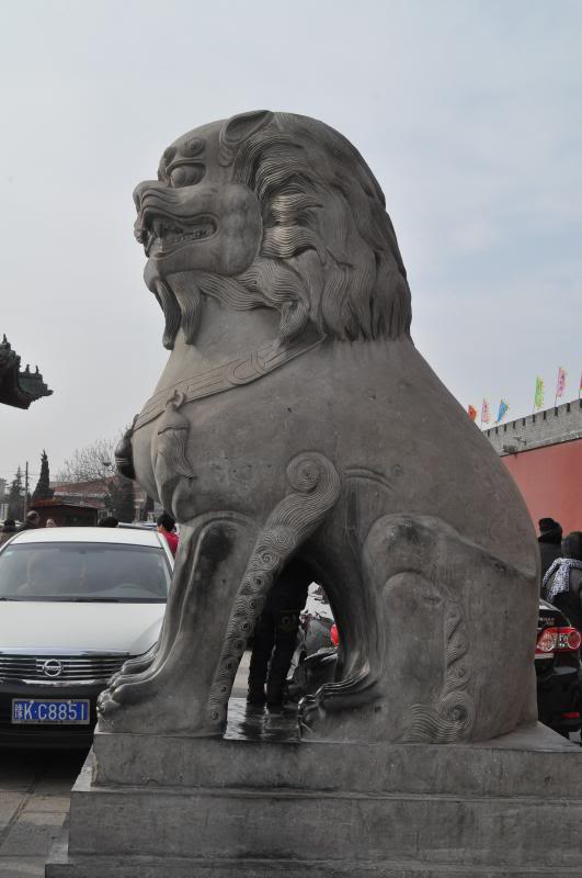 DSC_7098_zps93b9a617.jpg