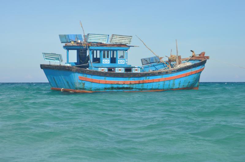 DSC_5882_800x531.jpg