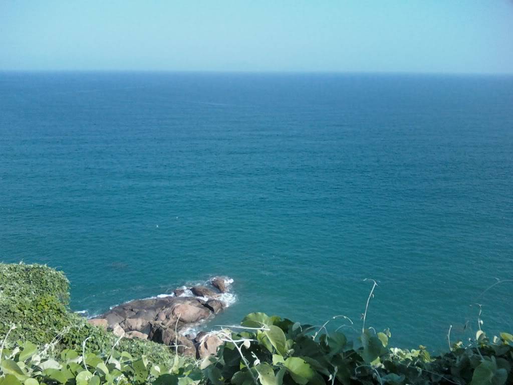 IMG4791-01.jpg