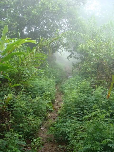 DSC00894.jpg