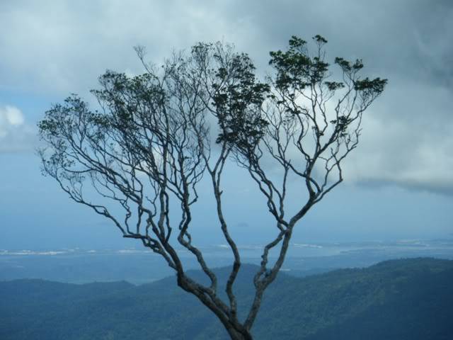DSCF0517.jpg