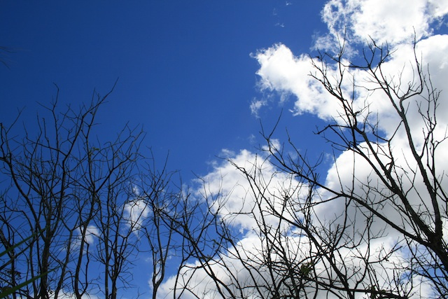 5238200043_e5e5ce5214_z.jpg