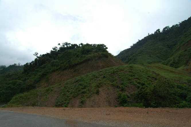 DSC_3967.jpg