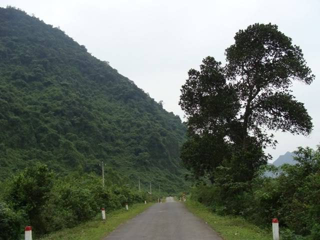 DSC08808.jpg