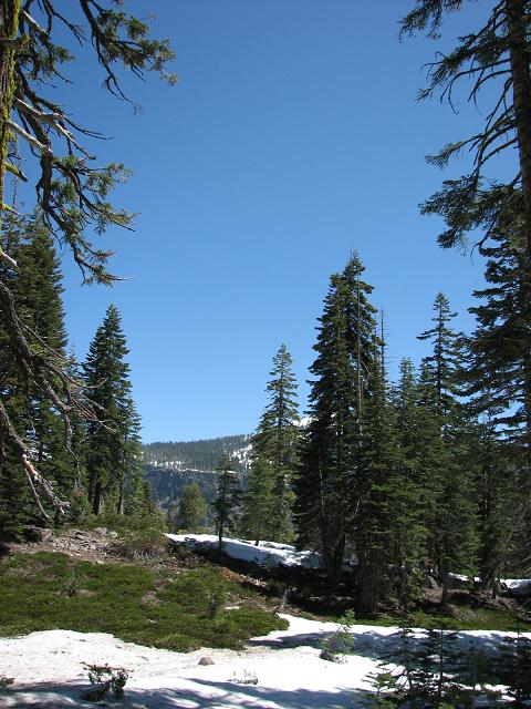 3541877210_aa340835ef_o.jpg