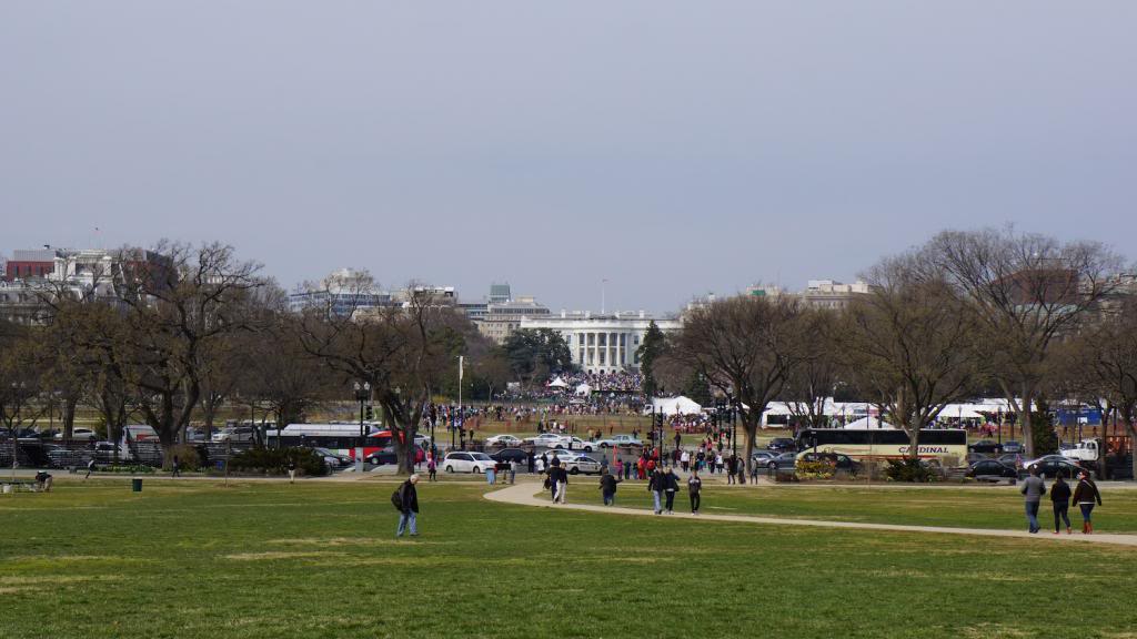 DSC05823_zps06c0bf45.jpg