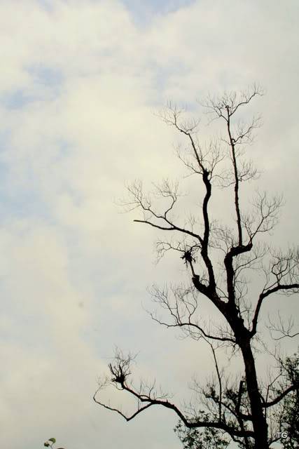 Picture207.jpg